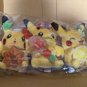 ポケモンセンター ヒロシマ ピカチュウ 3種