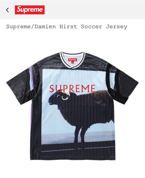 Supreme x Damien Hirst Soccer Jersey "Black" Lサイズ