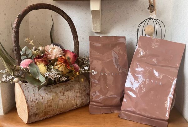 WATTLE ワトルクッションファンデーション ナチュラルベージュ マットカバー 2個セット