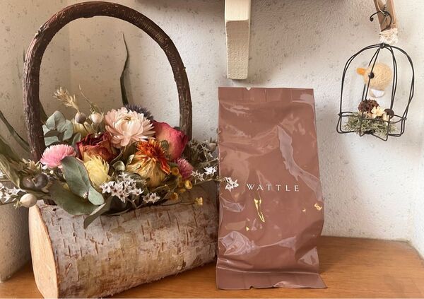 WATTLE ワトルクッションファンデーション マットカバー リフィル パフ付き