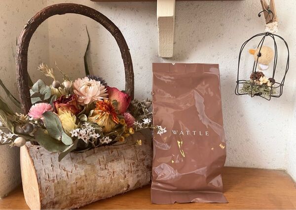 WATTLE ワトルクッションファンデーション マットカバー リフィル パフ付き
