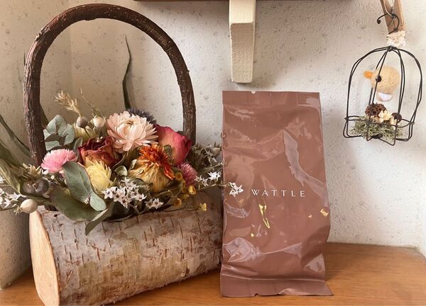 WATTLE ワトルクッションファンデーション マットカバー リフィル パフ付き