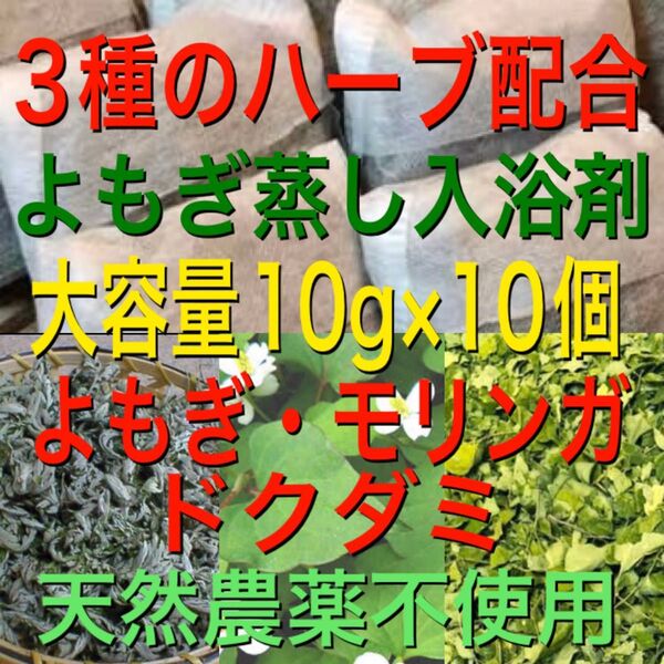 3種のハーブ配合 大容量10g×10個 よもぎ蒸し ドクダミ モリンガ 入浴剤