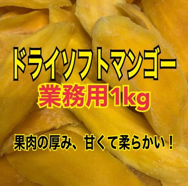 ドライソフトマンゴー 業務用1kg