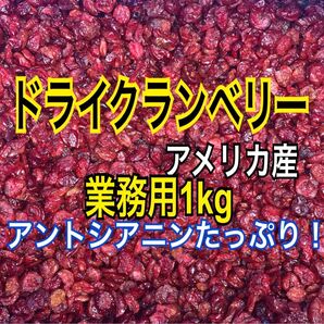 ドライクランベリー 業務用1kg