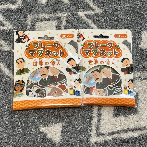 新品 セット フレークマグネット 世界の偉人 30ピース 社会 歴史 マグネット 学習 知育 遊び 磁石