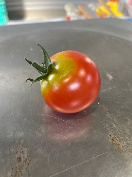訳ありミニトマト3kg