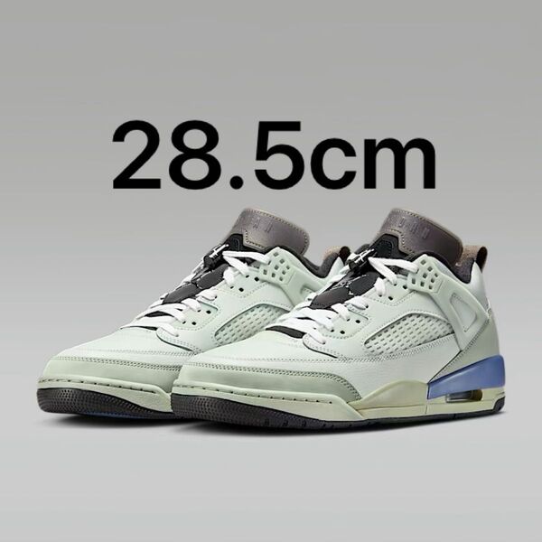 NIKE ジョーダンスパイジークlow