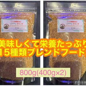 大好評♪モモンガオリジナルフード800g(400g×2)