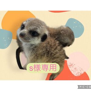 s様専用