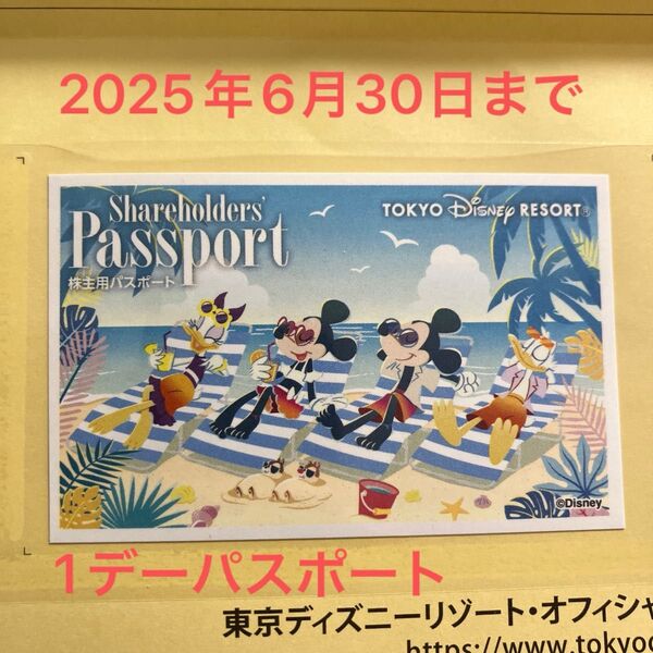 使用可能!!東京ディズニーリゾート 東京ディズニーランド ディズニーシー 1デーパスポートチケット