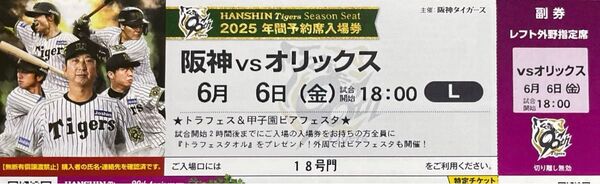 6月6日(金) 阪神VSオリックス レフト外野指定席1枚