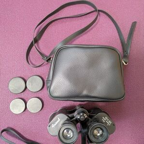 Friend 双眼鏡 10x30 ケース付き