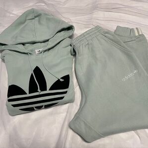 adidas セットアップ グリーン系