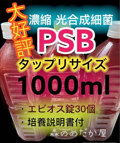 光合成細菌 PSB エビオス錠 ゾウリムシ タマミジンコ めだか 卵 針子 培養 エサ