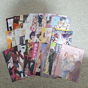 BL リーフレット セット
