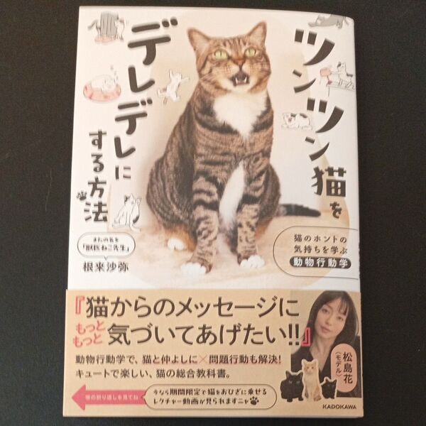 ツンツン猫をデレデレにする方法 猫のホントの気持ちを学ぶ動物行動学 根来沙弥/著