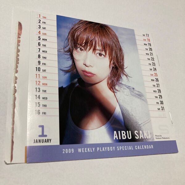 2009年週刊プレイボーイ雑誌付録カレンダー
