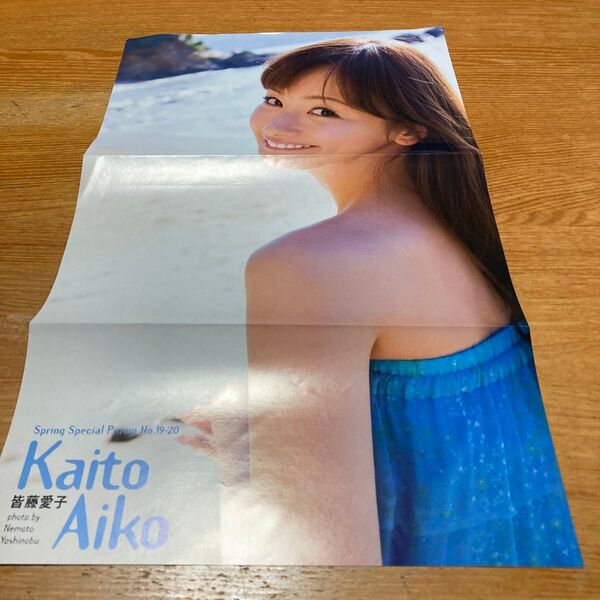 皆藤愛子 ポスター 雑誌付録