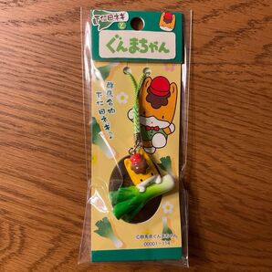 ぐんまちゃんと下仁田ネギ根付