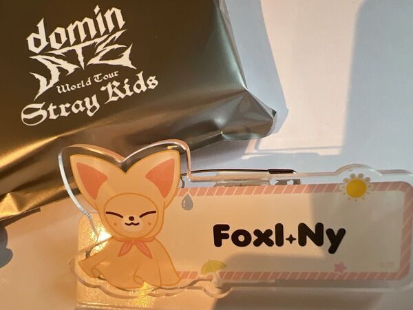 Stray Kids ネームバッチ フォクシニー アイエン