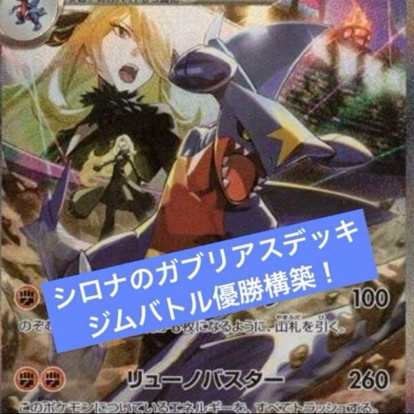構築済みデッキ ポケモンカードゲーム ジムバトル シティリーグ 優勝デッキ シロナのガブリアスexデッキ