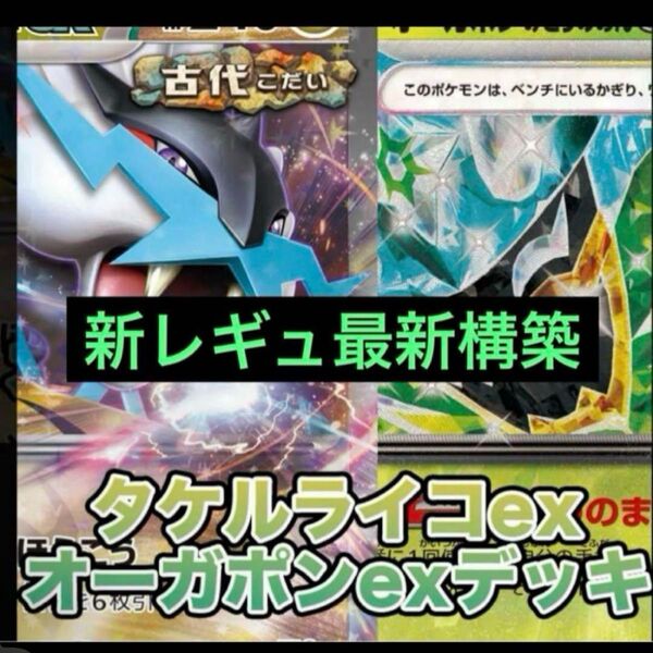 構築済みデッキ ポケモンカードゲーム ジムバトル シティリーグ 優勝デッキ タケルライコexデッキ ライコポンデッキ