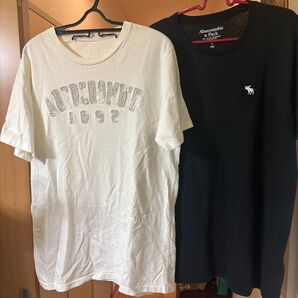 Abercrombie & Fitch Tシャツ 2枚セット