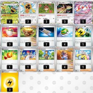 ポケモンカード ライコポンデッキ タケルライコex オーガポンみどりのめんex 構築済みデッキ