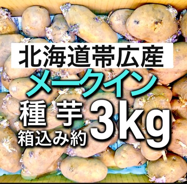 2.北海道帯広産 じゃがいも 種芋 メークイン 箱込み約3kg