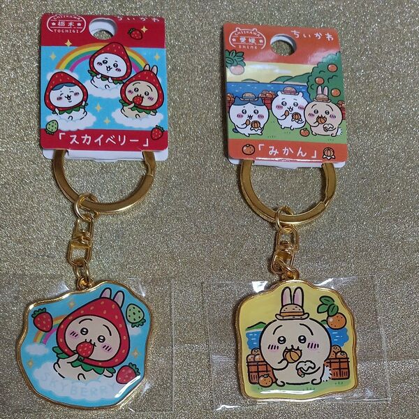 ★即ご購入不可★*ちいかわご当地ダイカットキーホルダー2点/うさぎ