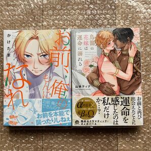 鳥籠の花嫁は運命に溺れる お前、俺のもんになれ! オメガバース2冊セット