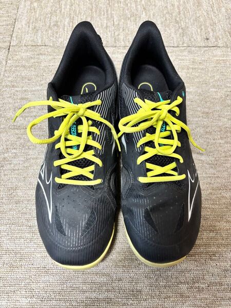 テニスシューズ ミズノ MIZUNO ウエーブエクシード オムニクレーコート用