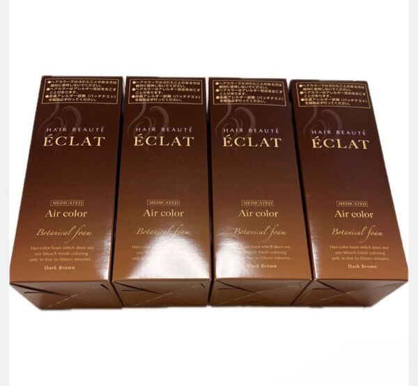 ヘアボーテエクラ ボタニカルエアカラーフォーム ダークブラウン 80g 4個 新品未開封 送料無料