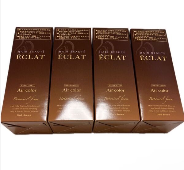 ヘアボーテエクラ ボタニカルエアカラーフォーム ダークブラウン 80g 4個 新品未開封 送料無料