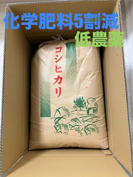 新潟県阿賀野市産コシヒカリ玄米30kg