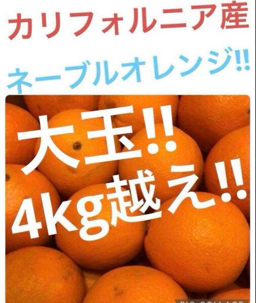 カリフォルニア産 ネーブルオレンジ