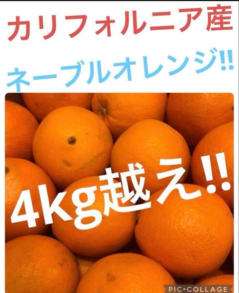 カリフォルニア産 ネーブルオレンジ