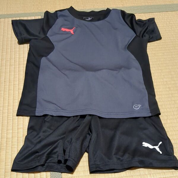 150 PUMA ハーフパンツ 半袖シャツ セット