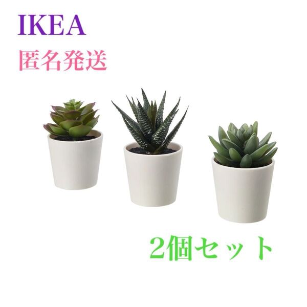【新品】IKEA イケア フェイカ 人工観葉植物 鉢カバー付き 6cm 3ピース フェイクグリーン 複数購入可能です♪