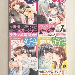 つまり好きって言いたいんだけど、 ①〜④巻セット 全巻