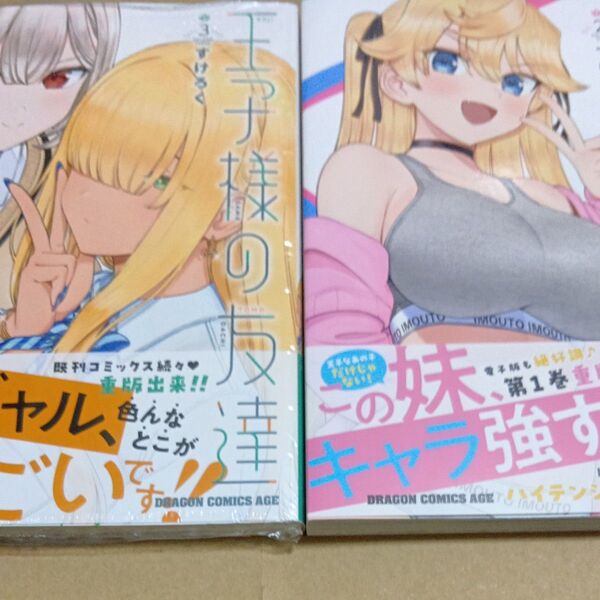 王子様の友達 3〜4巻(ドラゴンコミックスエイジ) すけろく/〔著〕 初版帯付き未読品2冊セット