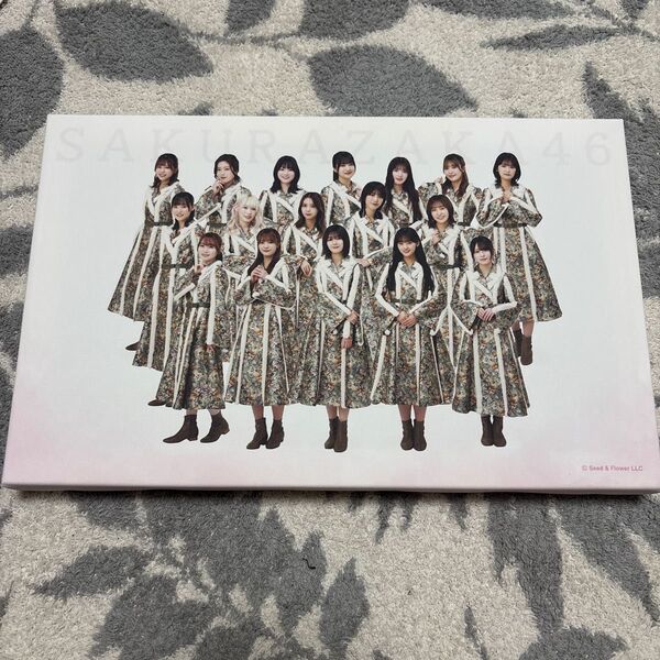 櫻坂46 LAWSONくじ キャンバスボード1・2期生