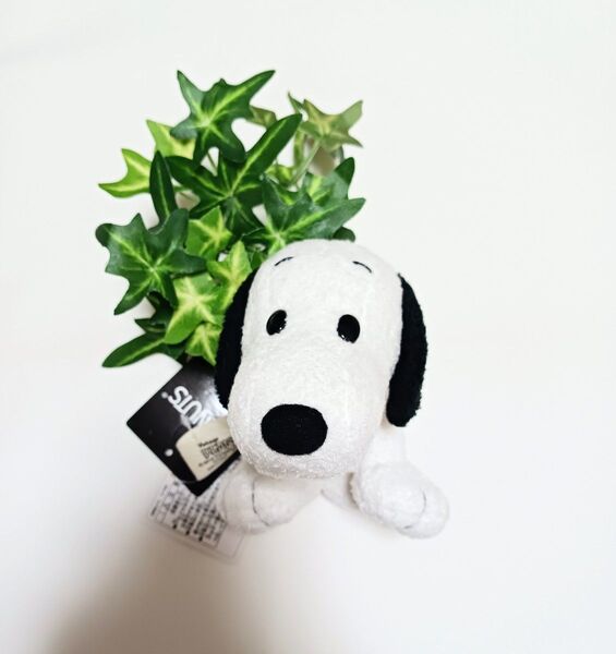 Vintage PEANUTS SNOOPY ビンテージ ピーナッツ スヌーピー 60年代 ぬいぐるみ ビーンドール 19cm