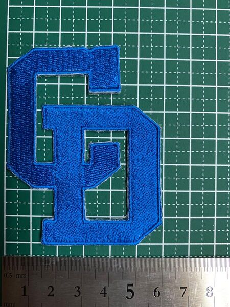 アイロンワッペン ドラゴンズ 刺繍