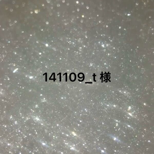 141109_t 様
