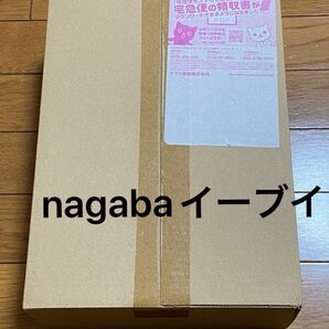 YU NAGABA × ポケモンカードゲーム イーブイズ スペシャルBOX プロモパック付き ダンボール未開封