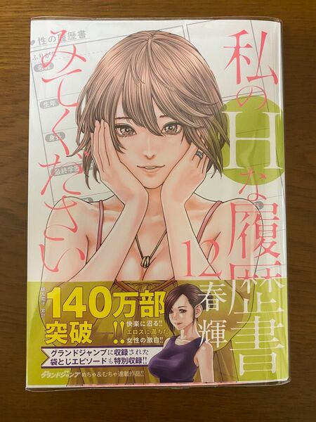私のHな履歴書みてください 12巻