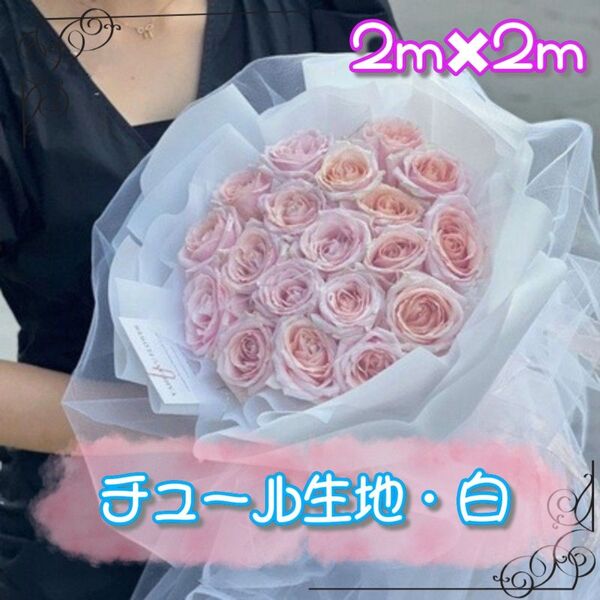 チュール オーガンジー 撮影用 装飾用 結婚式 誕生日 プレゼント 大判 生地 白 インスタ ハンドメイド コスプレ 透け感