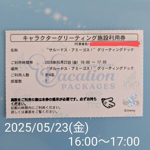 ディズニーシー グリーティング施設利用券 1枚【5月23日専用】